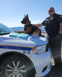 On Saturday, April 30, 2022 K9 Artie and his handler positively identified fentanyl pills inside a stopped vehicle during a traffic stop in the area near Highway 97 and Hotlum. (Mount Shasta Police Department)