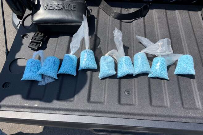 blue pills in plastic bags in the back of a pickup truck