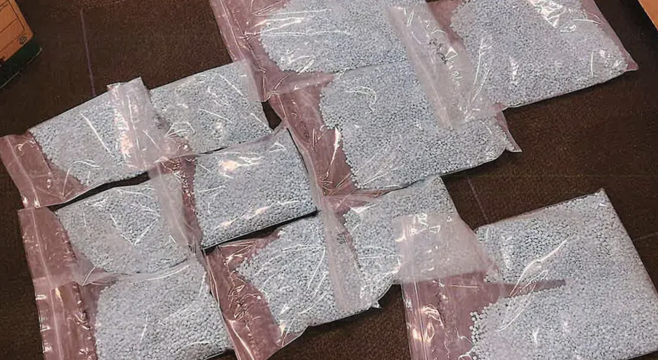 108,000 fentanyl pills seized in massive Bloomington PD drug bust, August 2022 (Bloomington Police) 