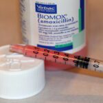 A medicine bottle with a syringe of pink medicine next to it.