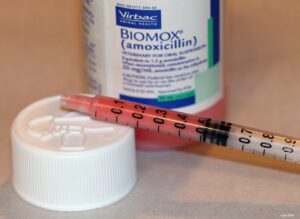 A medicine bottle with a syringe of pink medicine next to it.