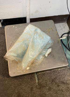 bagged blue pils on a metal plate