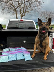 Rango helped the San Joaquin County Sheriff's Officer find approximately 80,000 blue “M30” pills suspected to be fentanyl. 