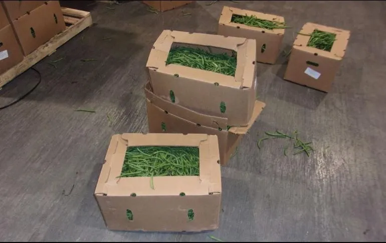 Cardboard boxes with green beans visible at the top. Stacked on a concrete flood.