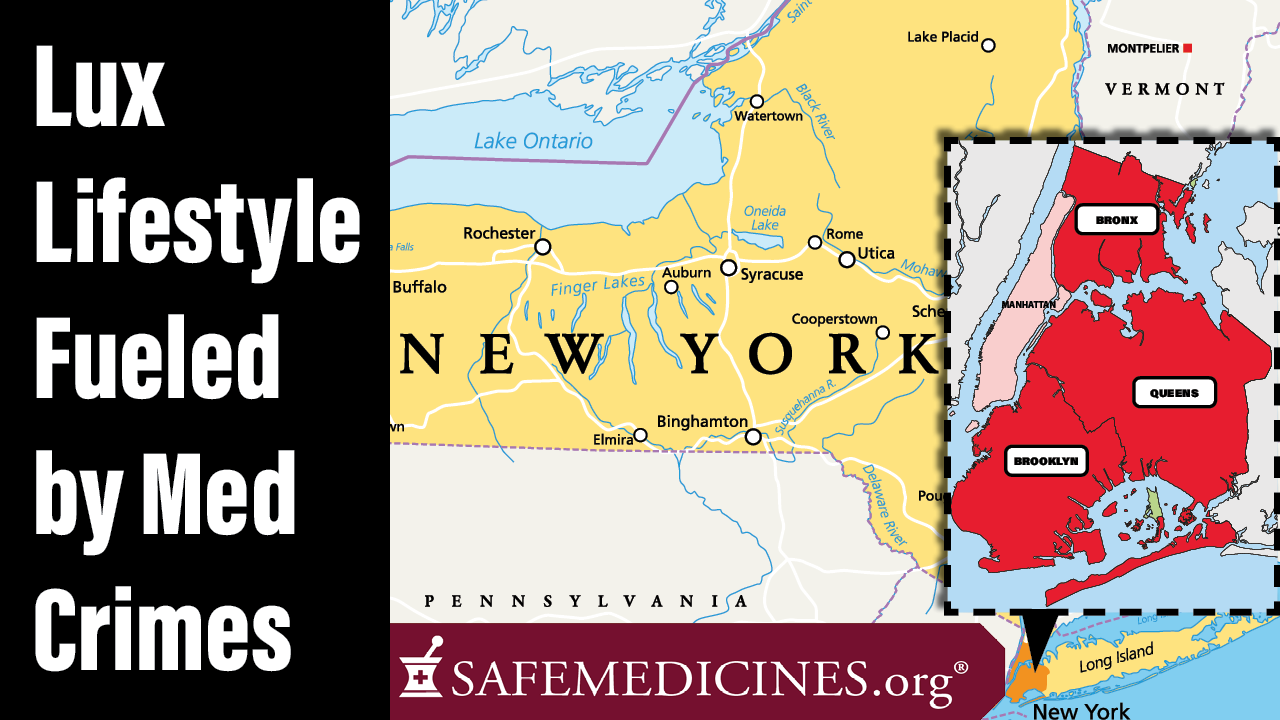 Video cover showing New York map with NYC inset. Title is Lux Lifestyle Fueled by Med Crimes