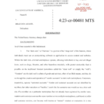 first page of Information for USA v Brandon Adams