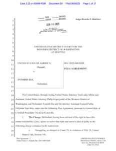 first page of a plea agreement