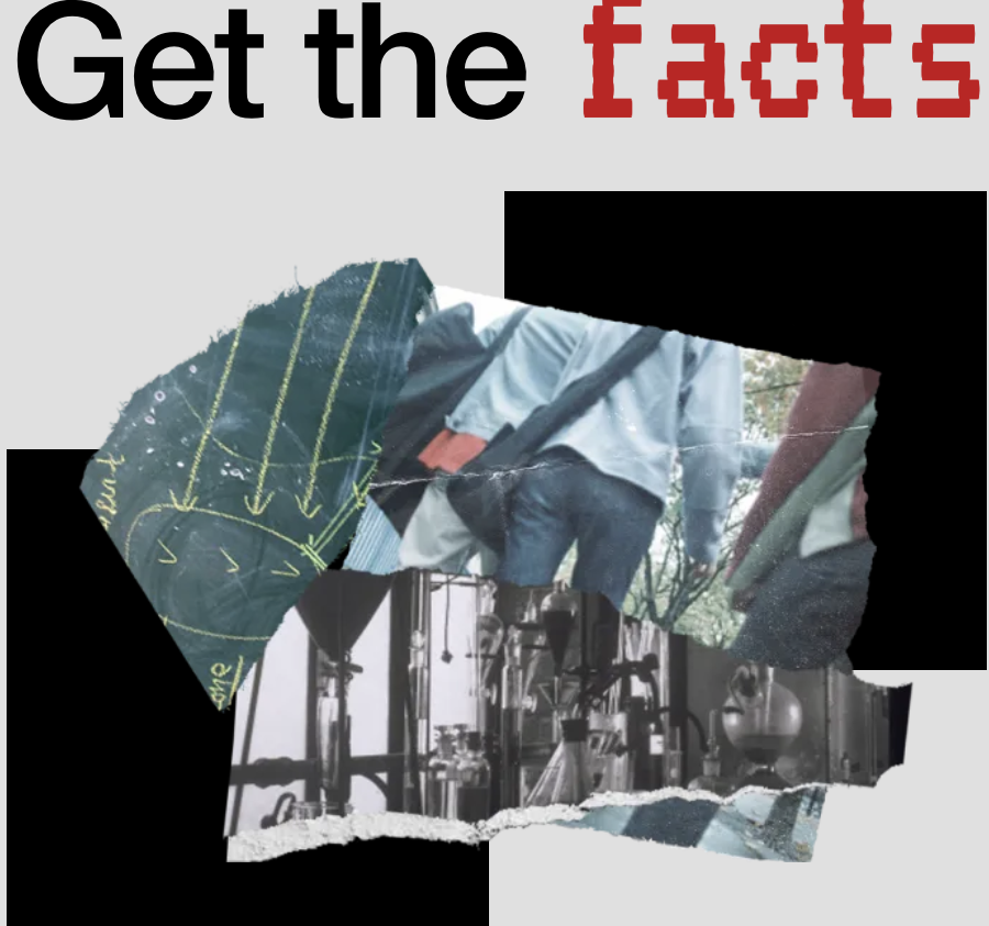 real deal on fentanyl cover image